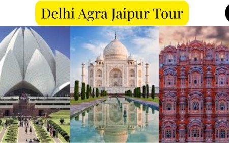 Delhi Agra Jaipur Tour: Your Gateway to India's Rich Past