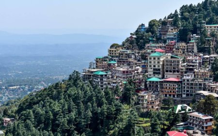 From Monasteries to Meadows: Dharamshala Dalhousie Adventures