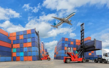 How to Import Goods into the UAE Without Customs Delays – C4 Customs Expert Tips