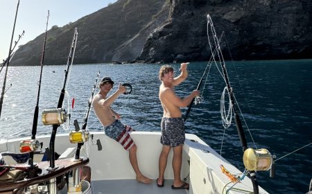 Marlin Fishing Cape Verde: The Ultimate Destination for Big Game Fishing