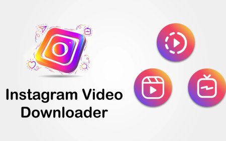 The Ultimate Guide to Using Instagram Video Downloader ToolDL Fast and Free Online