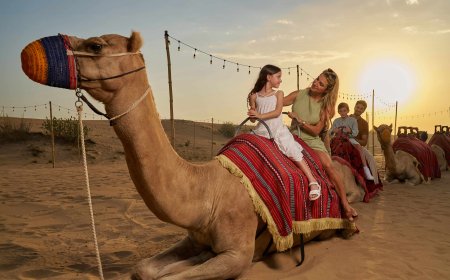 Camel Riding in Dubai – A Timeless Arabian Adventure