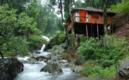 Explore Nature and Culture with Coorg Tour Packages