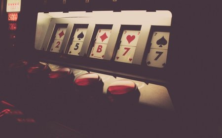 How to Join Lotus365 & Start Winning on Sports and Casino