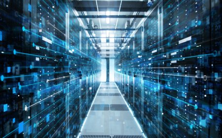 The Role of Trusted Consultants in Small Business Digital Growth
