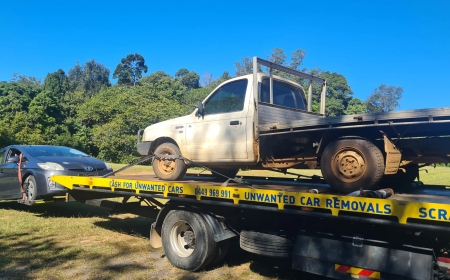 The Last Stop: A Day in the Life of a Car Being Dismantled
