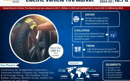 Electric Vehicle Tire Market Overview 2024–2030: Share, Size & Future Trends