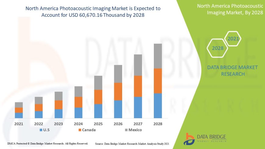North America Photoacoustic Imaging Market   Production, Demand and Business Outlook 2028