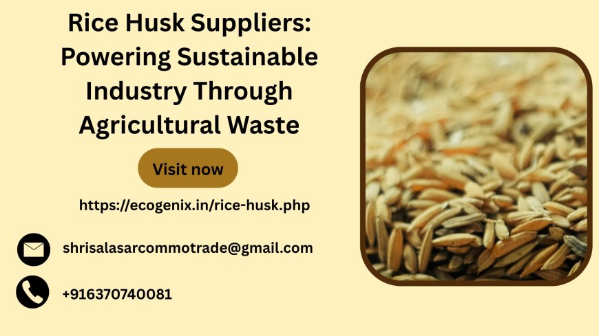 Rice Husk Suppliers: Powering Sustainable Industry Through Agricultural Waste