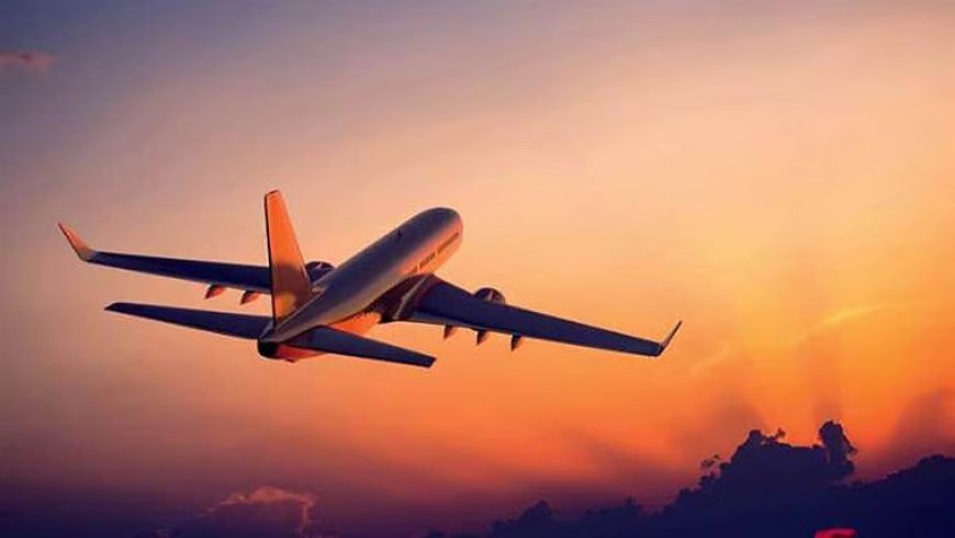 Two Quick Ways to Call: How to Speak to Someone at Southwest Airlines®️ A Complete Guide