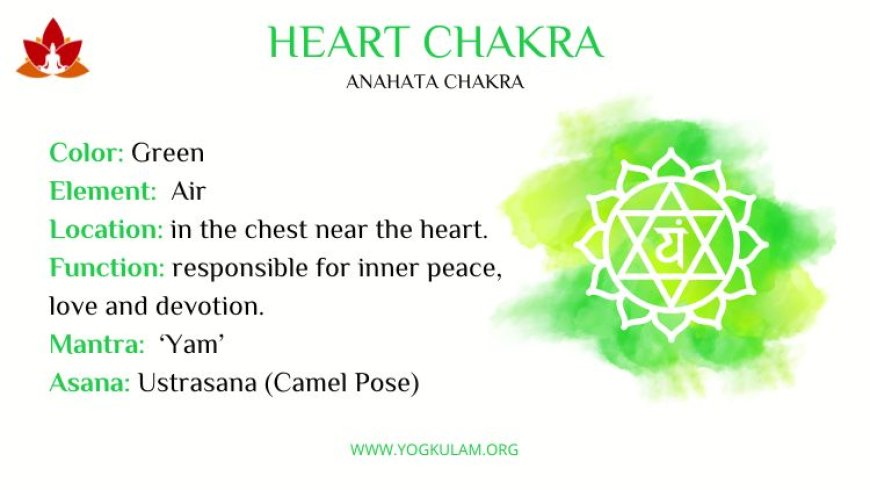 Unlocking the Power of the Heart Chakra Symbol: Meaning, Healing, and Spiritual Significance