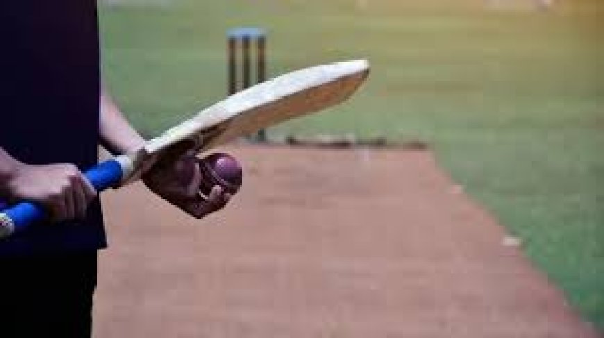 Everything You Need to Know About Cricket ID for Online Play and Betting