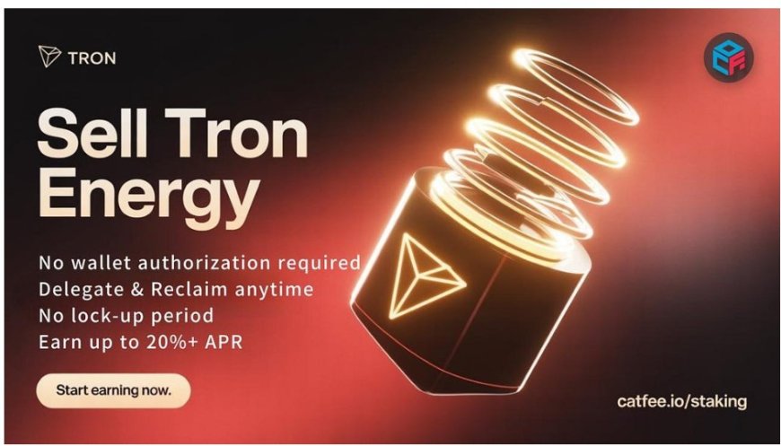 Sell Tron Energy on CatFee: Why “Staking Treasure” Outperforms Other TRX Investment Models