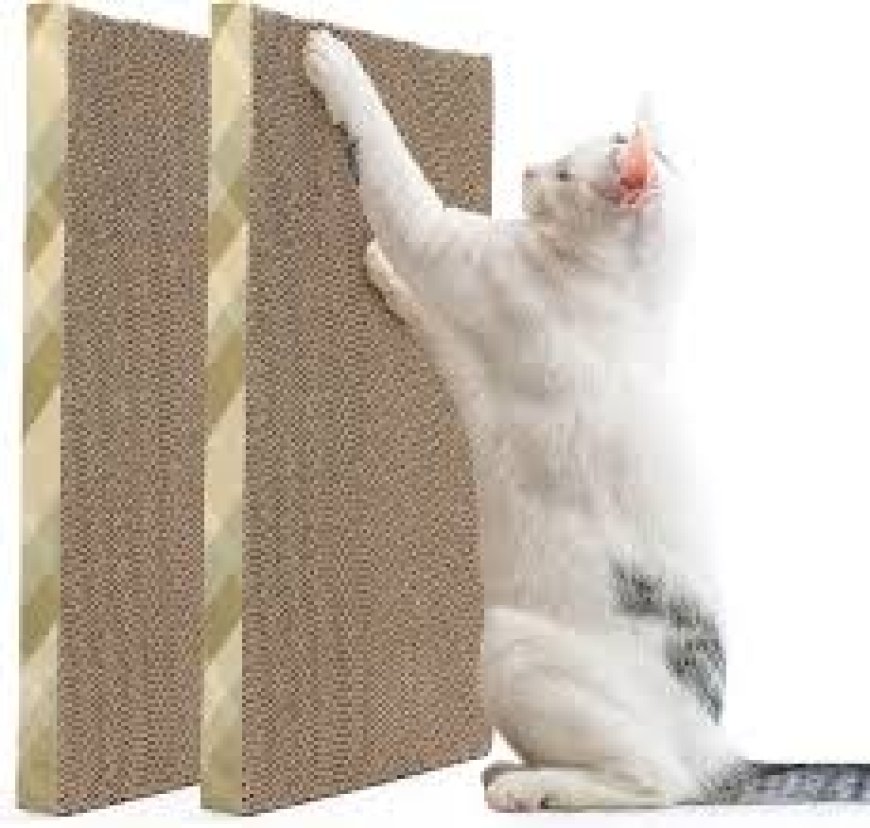 Why Every American Cat Owner Needs a Cat Scratching Mat