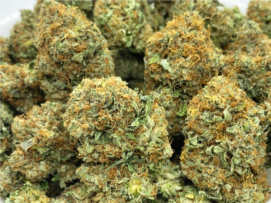 Bulk Weed for Sale Online: Fast Shipping & Trusted Quality