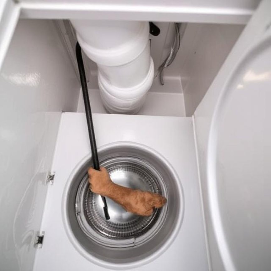 When Is Professional Dryer Duct Cleaning Worth for Boston Homes