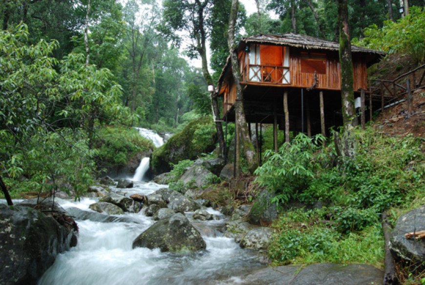 Explore Nature and Culture with Coorg Tour Packages