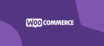 WooCommerce Shopping on Google Sales Traffic
